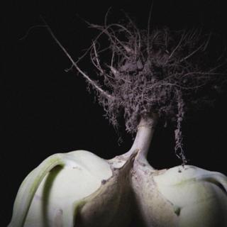 Triple Kohlrabi I